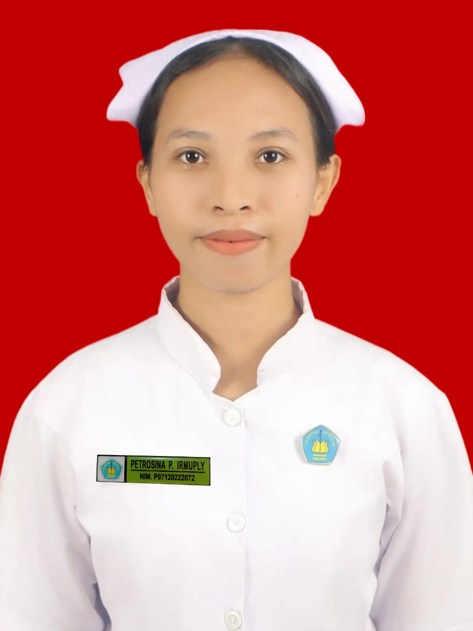 Petrosina P Irmuply Amd.Kep.jpeg